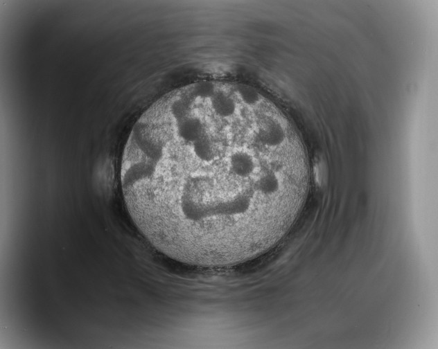 X0000089671347200707201631