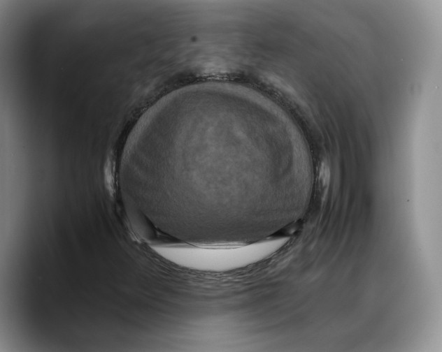 X0000089671348200707201631