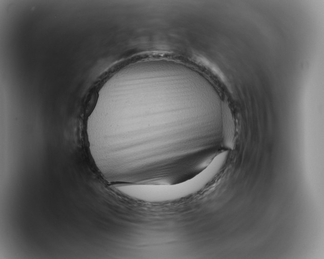 X0000089671352200707201631