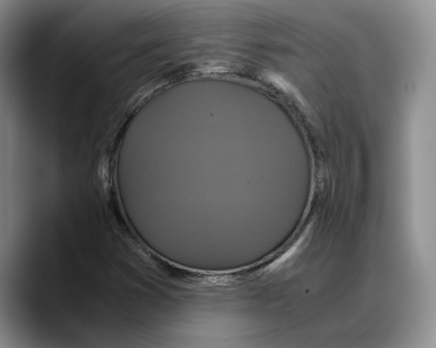 X0000089671353200707201631