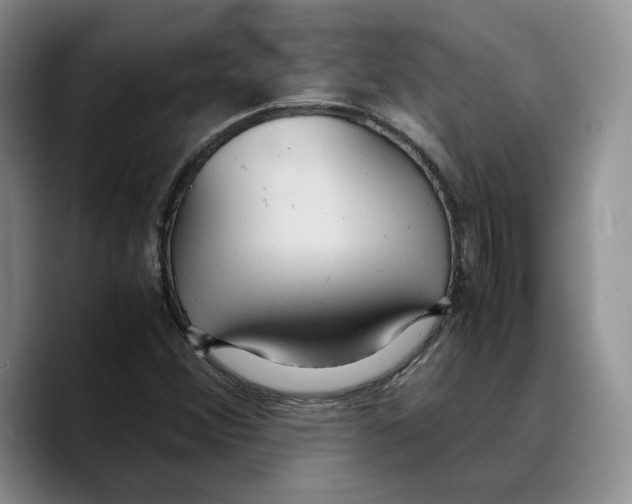 X0000089671356200707201631