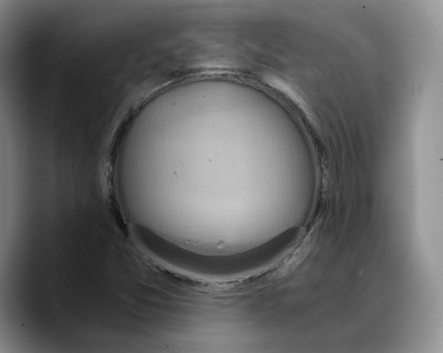 X0000089671357200707201630