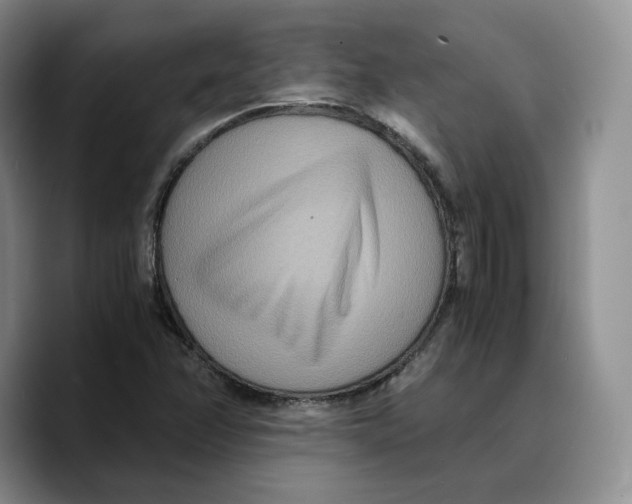 X0000089671358200707201630