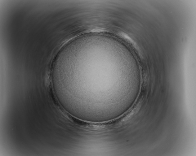 X0000089671361200707201630