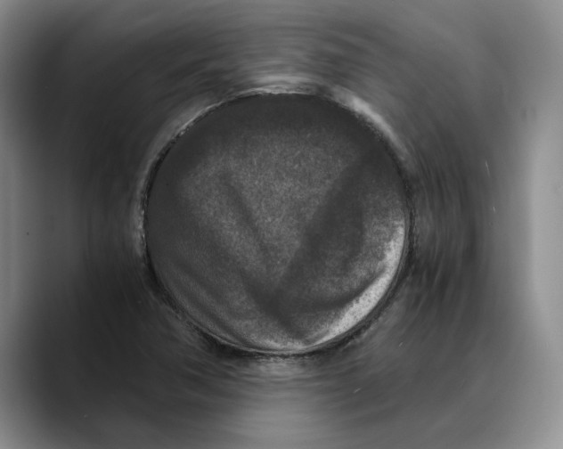 X0000089671362200707201630