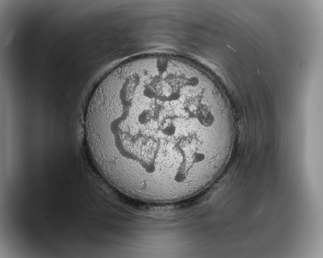 X0000089671363200707201630