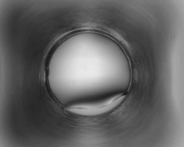 X0000089671368200707201630