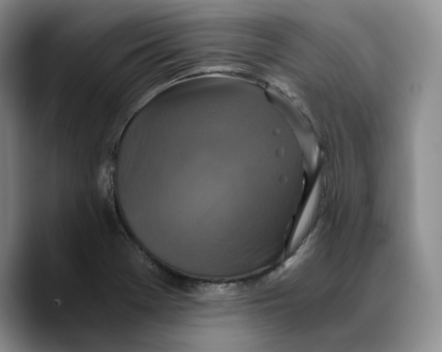 X0000089671369200707201630