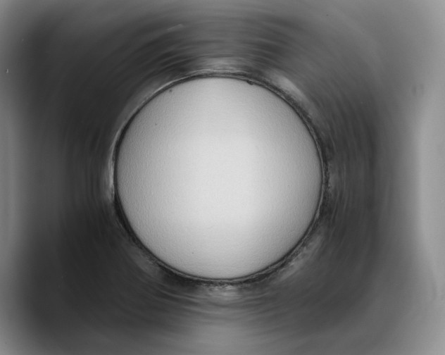 X0000089671370200707201630