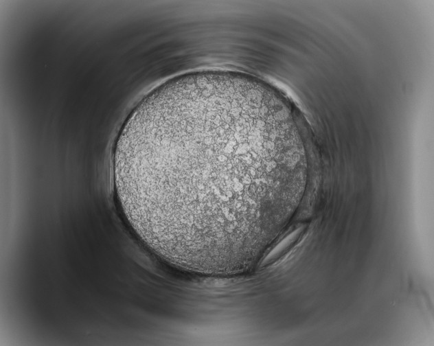 X0000089671371200707201630