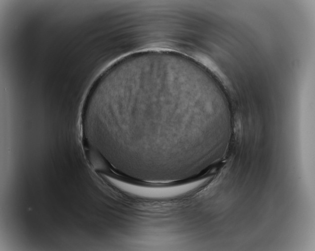 X0000089671372200707201630