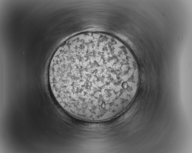 X0000089671375200707201630