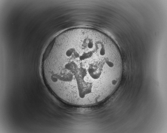 X0000089671379200707201630