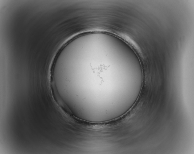 X0000089671380200707201630