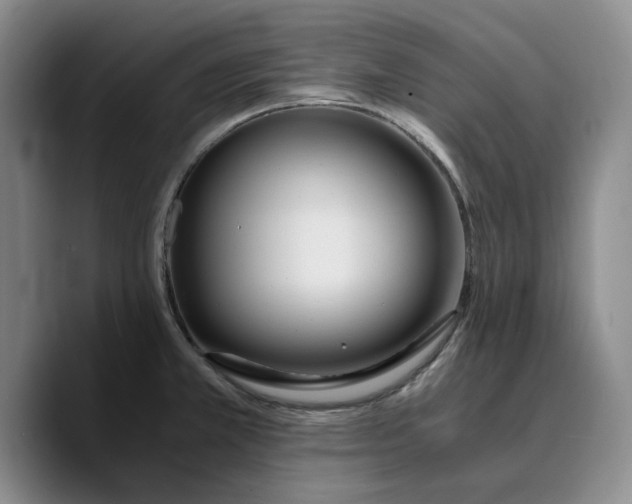 X0000089671381200707201630