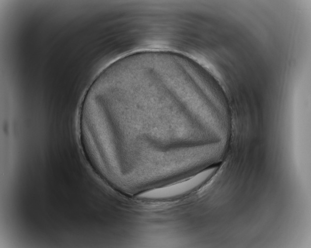 X0000089671382200707201630