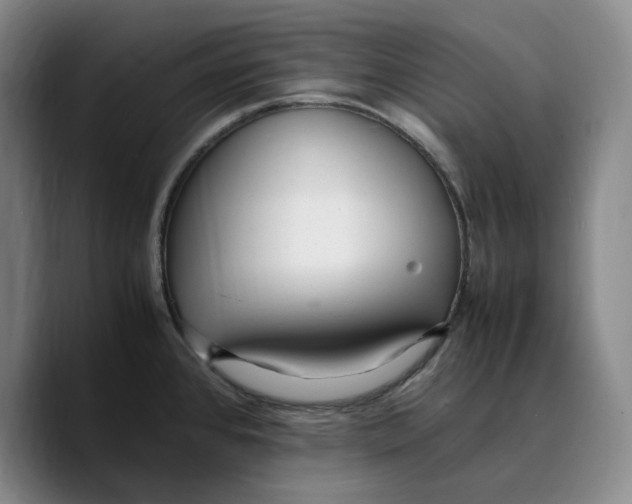 X0000089671384200707201630