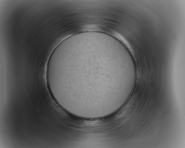 X0000089671386200707201630