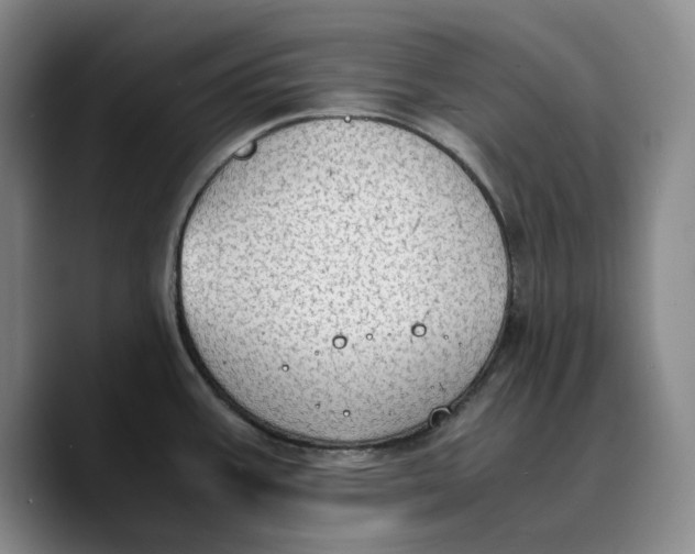 X0000089671387200707201630