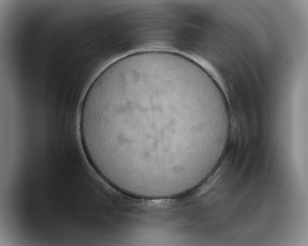 X0000089671390200707201630