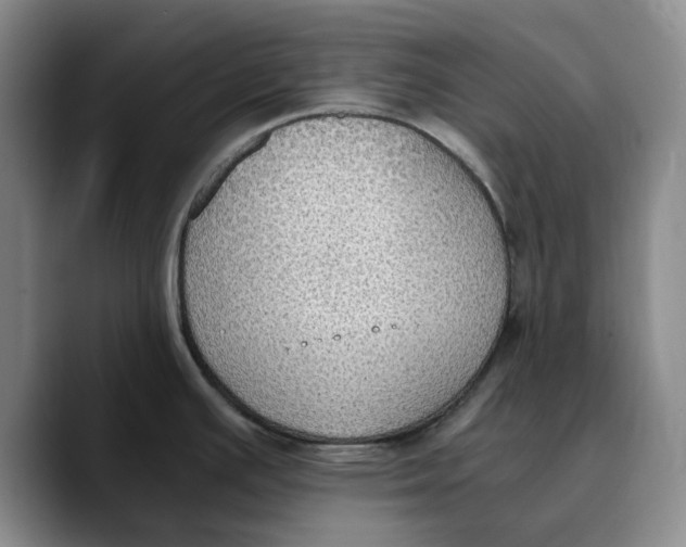 X0000089671391200707201630