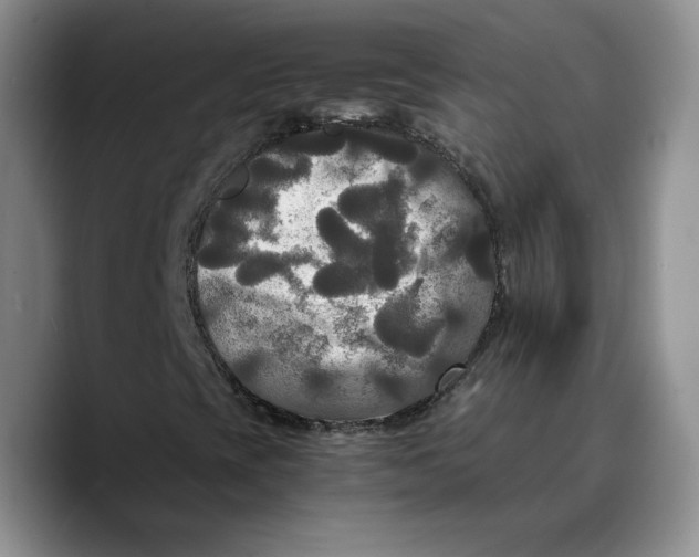 X0000089671393200707201629