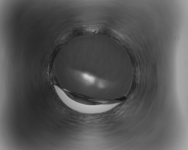 X0000089671394200707201629