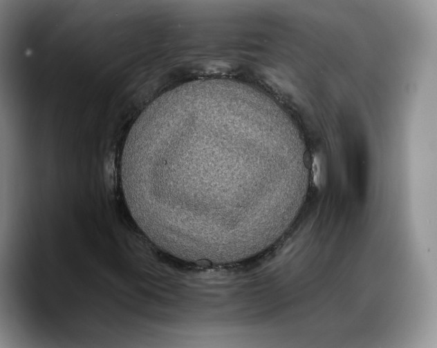 X0000089671395200707201629