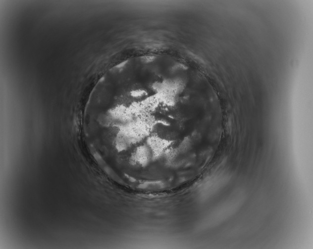 X0000089671397200707201629