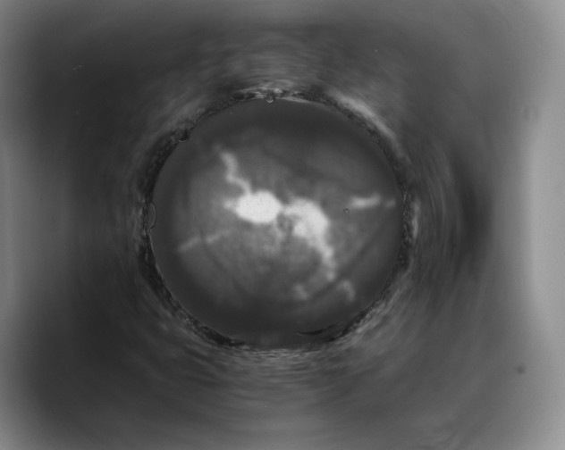 X0000089671399200707201629