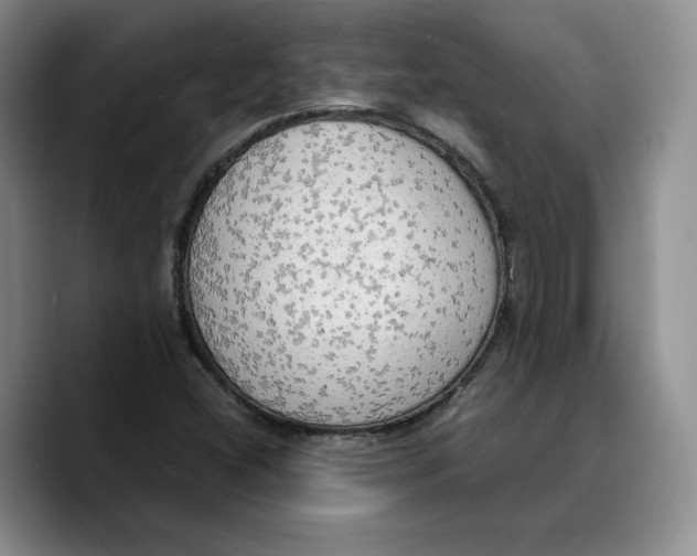 X0000089671404200707201630