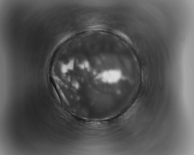 X0000089671405200707201630