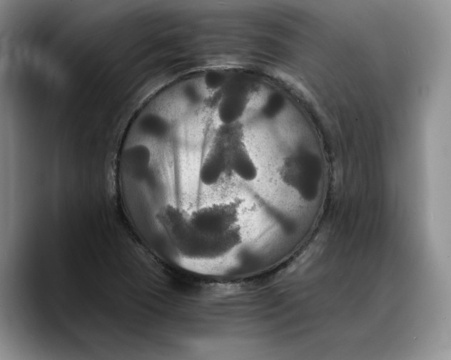 X0000089671409200707201630