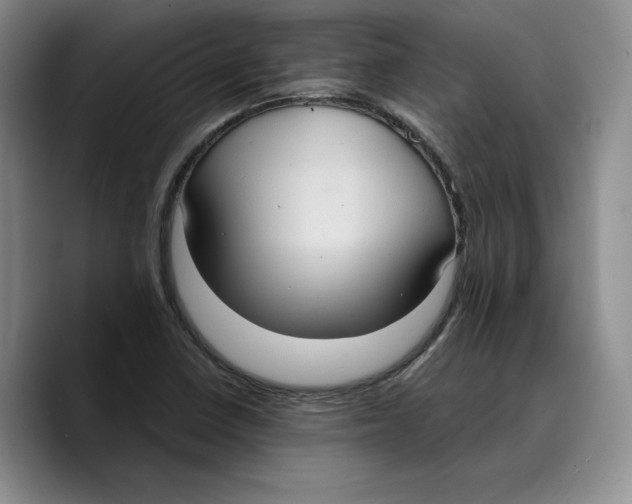 X0000089671410200707201630