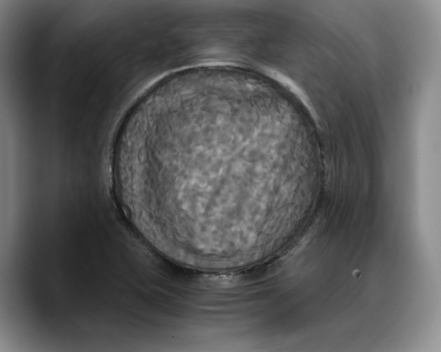 X0000089671415200707201630