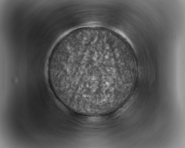 X0000089671421200707201630