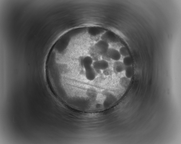 X0000089671423200707201630