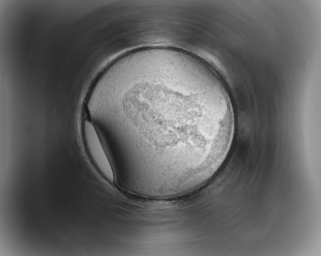 X0000089671424200707201630