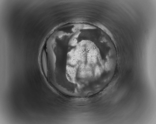 X0000089671429200707201630