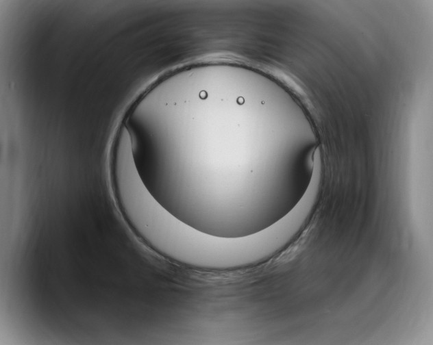 X0000089671430200707201630