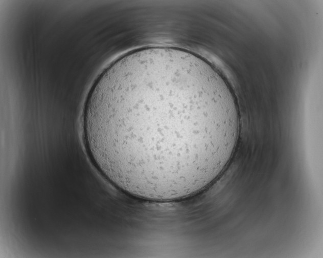 X0000089671432200707201630