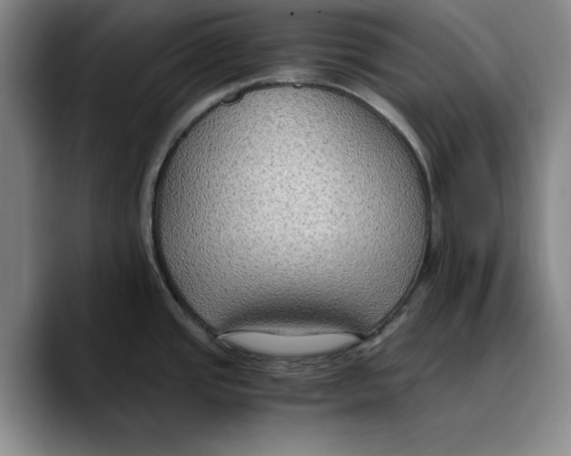 X0000089671437200707201630