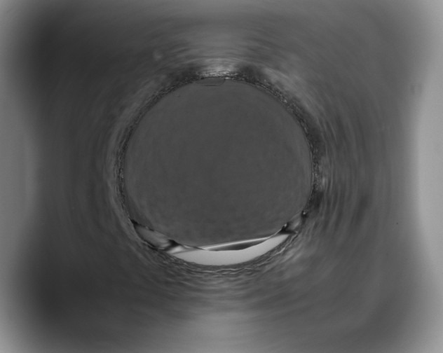 X0000089671441200707201629