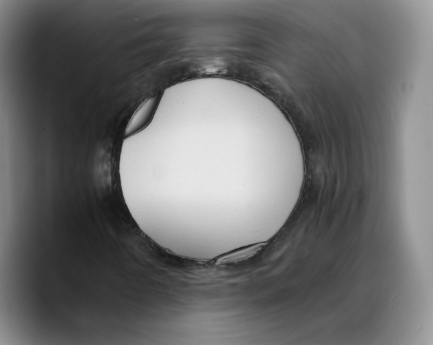 X0000089671442200707201629