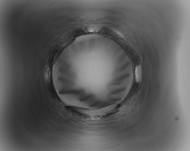 X0000089671443200707201629