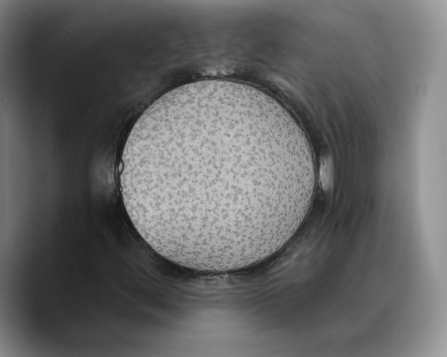 X0000089671444200707201629