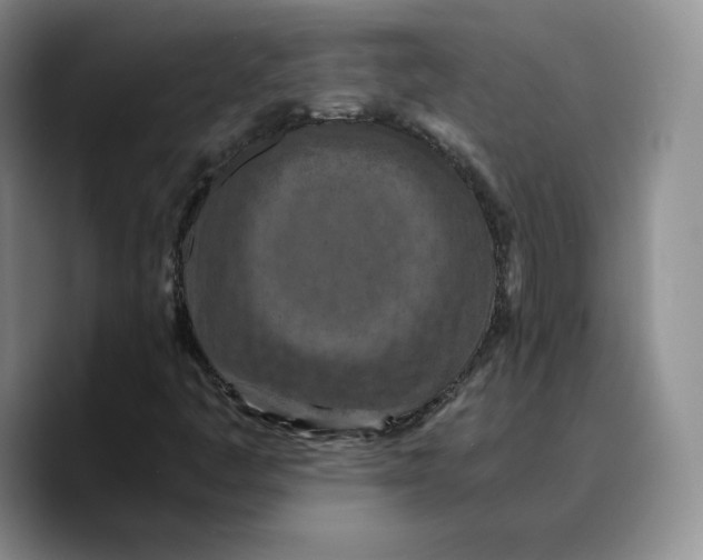 X0000089671445200707201629