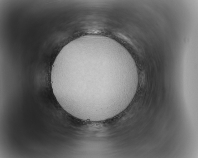 X0000089671446200707201629