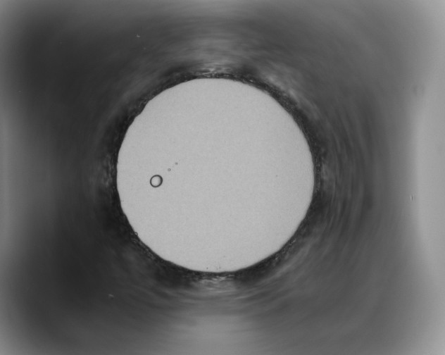 X0000089671447200707201629