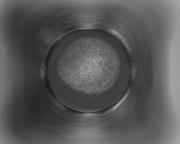 X0000089671449200707201629